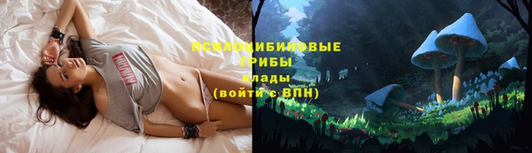 apvp Сатка