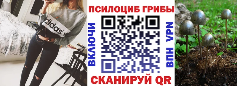 блэк спрут зеркало  нарко площадка состав  Галлюциногенные грибы мухоморы  купить наркотики цена  Камень-на-Оби 