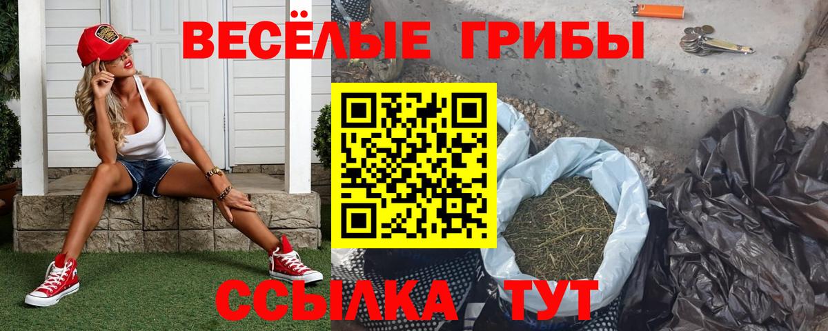 Псилоцибиновые грибы мухоморы  Вход с VPN  Камень-на-Оби  Псилоцибиновые грибы Psilocybine cubensis 