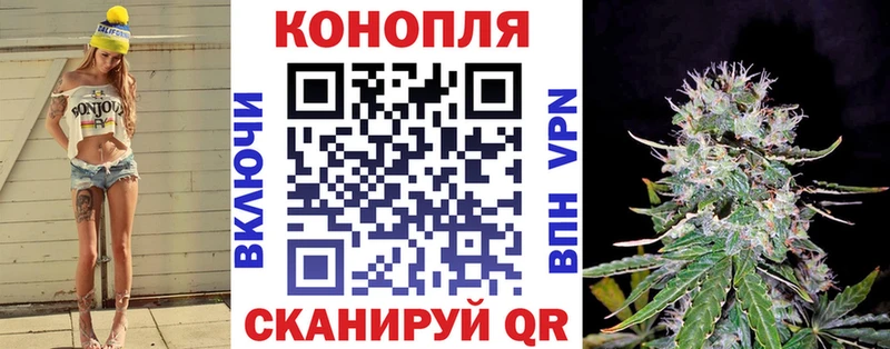 Бошки Шишки план  купить наркоту  Камень-на-Оби 