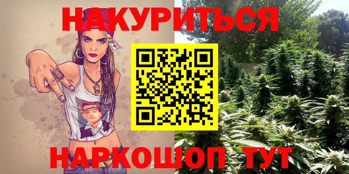 Канабис VHQ  Бошки Шишки планчик  Вход с VPN  Камень-на-Оби  Бошки Шишки ГИДРОПОН 
